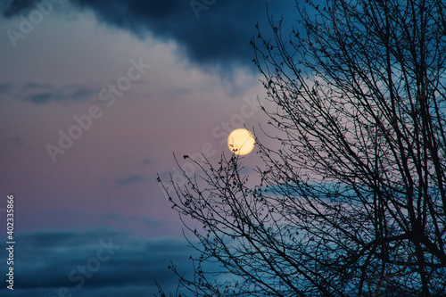 Mystische, geheimnisvolle Abendstimmung, Landschaft mit Wolken, Vollmond, Ästen und Abendrot während der Rauhnächte