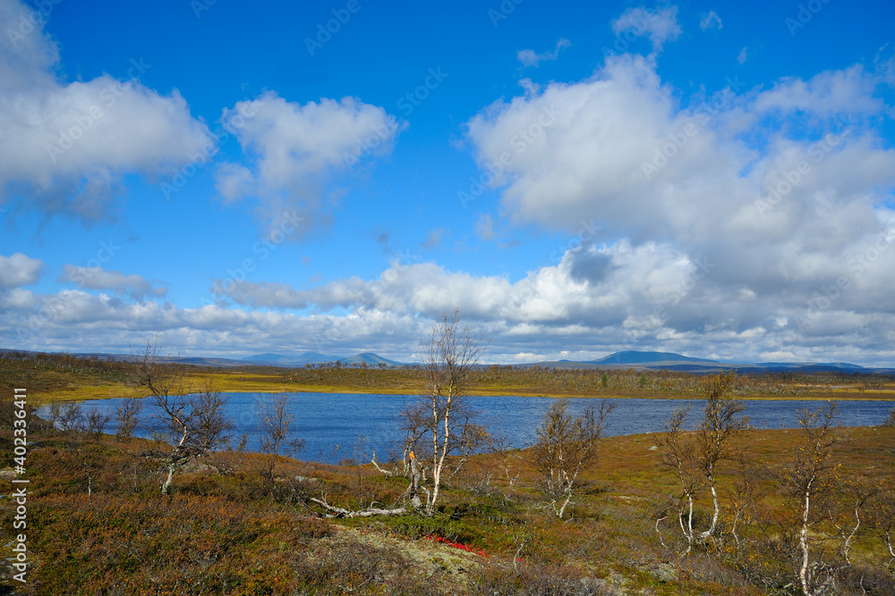 Herbst entlang der Flatruet zwischen Funäsdalen und Ljungdalen