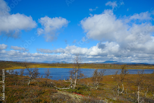 Herbst entlang der Flatruet zwischen Fun  sdalen und Ljungdalen