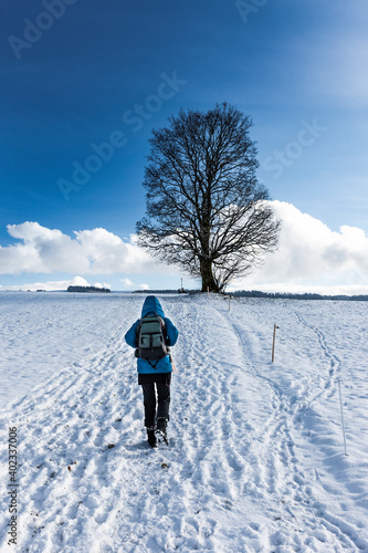 Frau wandert im Winter  zu einem Baum