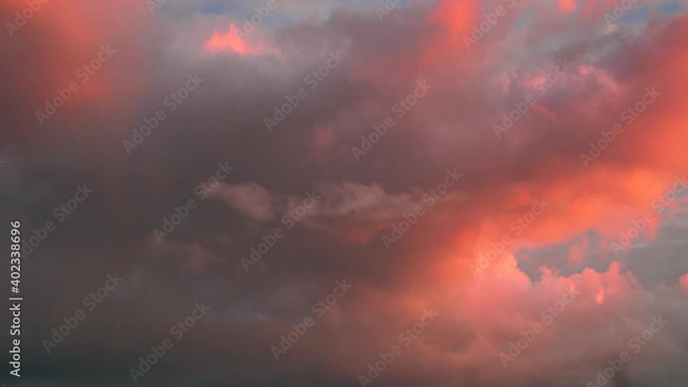 Tilting down shot of beautiful colored altocumulus clouds, stained red by the sunset in Waipara, New Zealand 