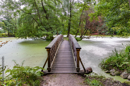 Holzbrücke an einem kleinen See photo