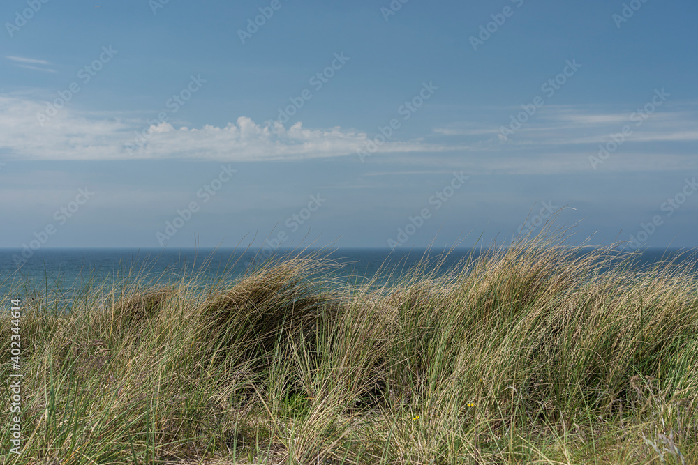 Sylt - View from Grass dunes towards Wenningstedt Beach Sylt - View from Grass dunes towards Wenningstedt Beach