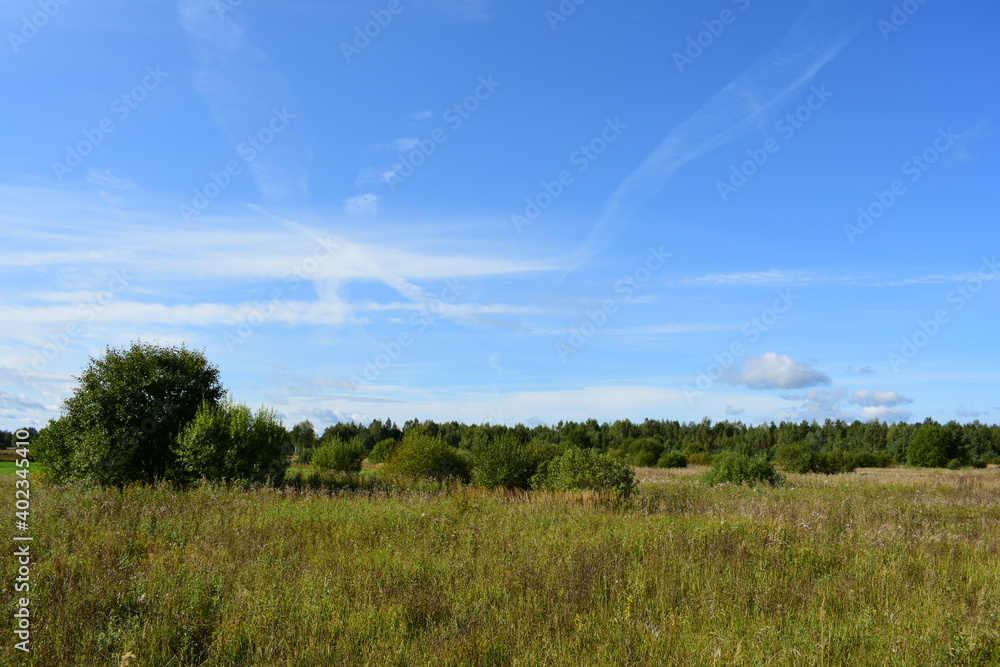 Fototapeta premium landscape with rainbow