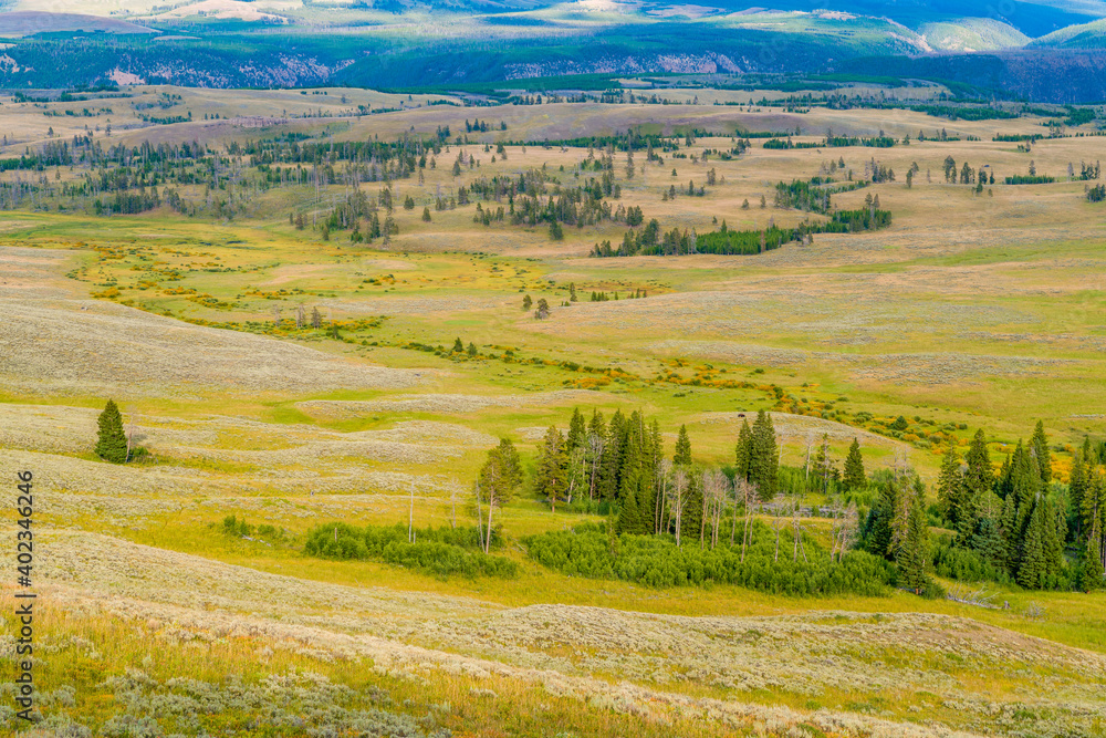 Yellowstone plain view