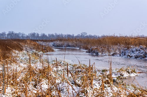 Zima w Narwiańskim Parku Narodowym, Podlasie, Polska