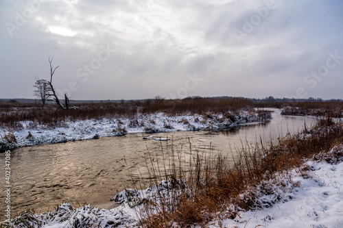 Fototapeta Naklejka Na Ścianę i Meble -  Zima w Narwiańskim Parku Narodowym, Podlasie, Polska