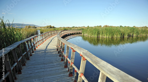 Tablas de Daimiel National Park, Biosphere Reserve since 1981, Castilla la Mancha, Spain
