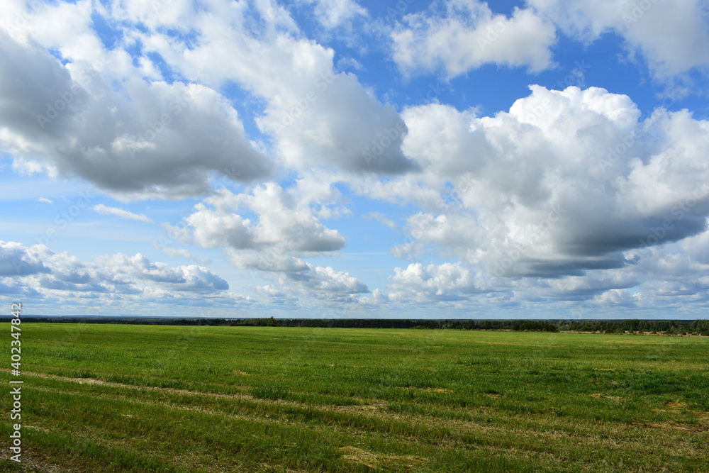 green field and blue sky