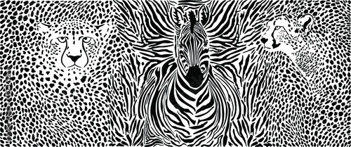 Cheetahs and Zebra and pattern background