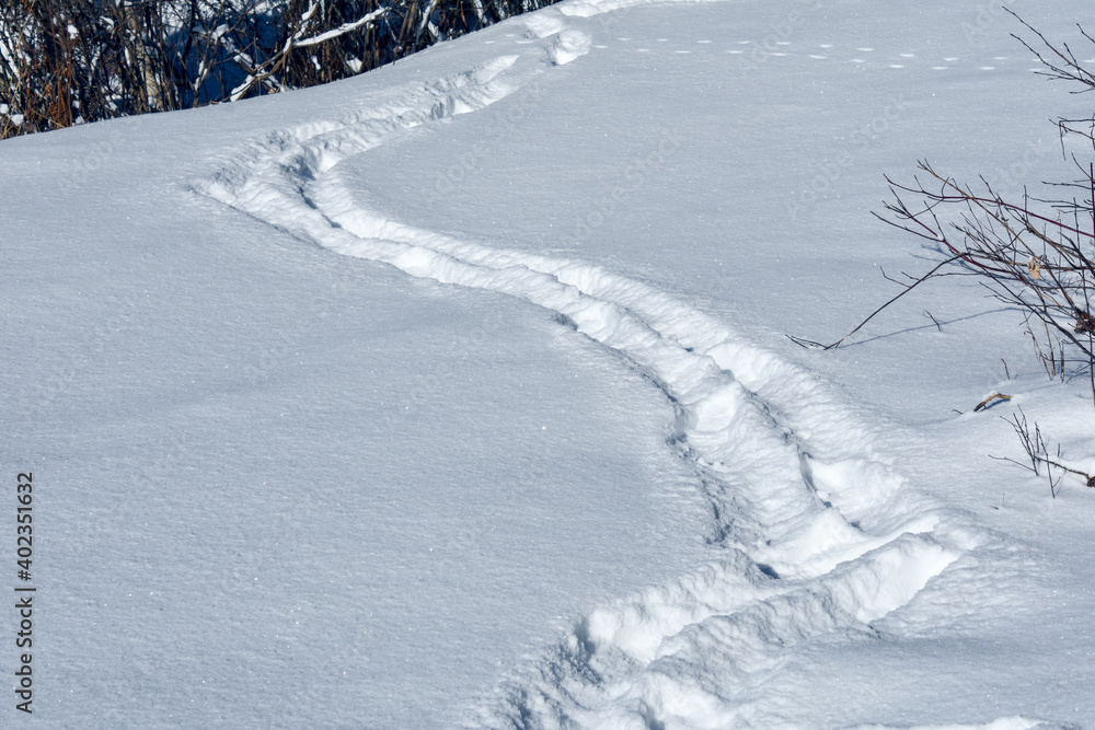 Man footprint in the snow in Canadian forest in Quebec Man footprint in the snow in Canadian forest in Quebec