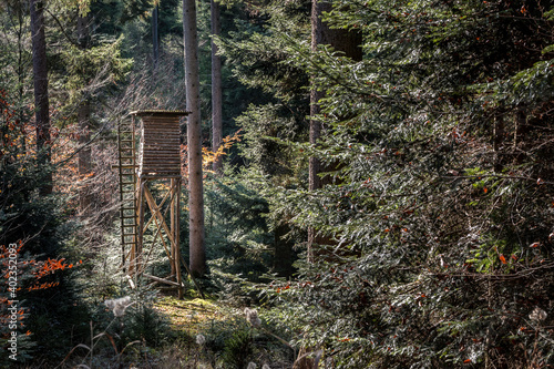 Small raised hide for hunting in the middle of the forest photo