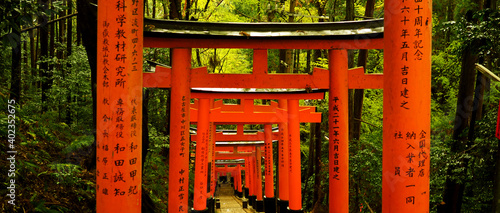 Photography Fushimi Inari Shrine gate, Shinto shrine in southern Kyoto.