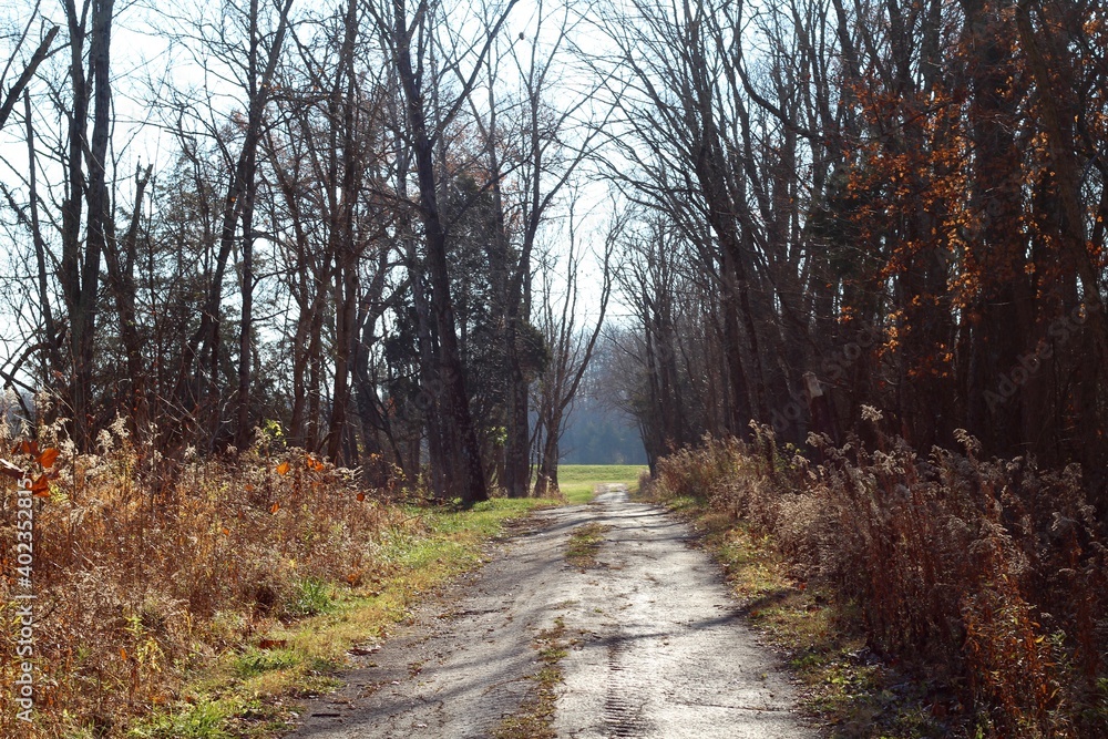 The long empty sidewalk in the autumn park.
