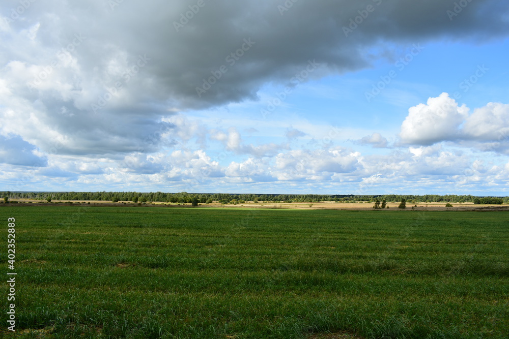 Fototapeta premium green field and sky