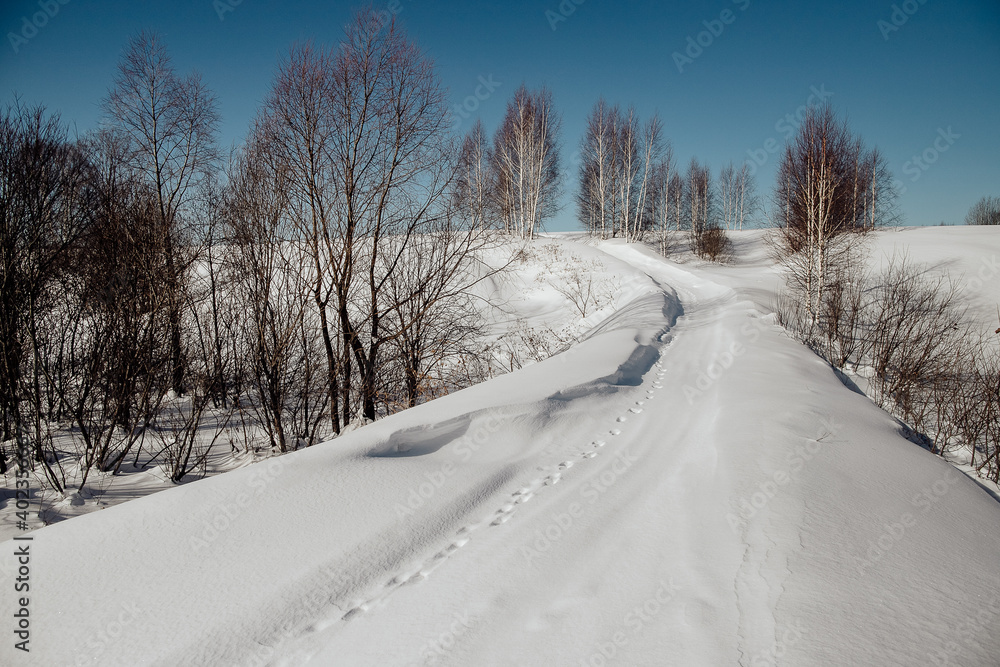 snow-covered road in the winter forest, a lot of snow on the road, tracks in the snow on the road, winter sunny day, nature of russia, Russian winter