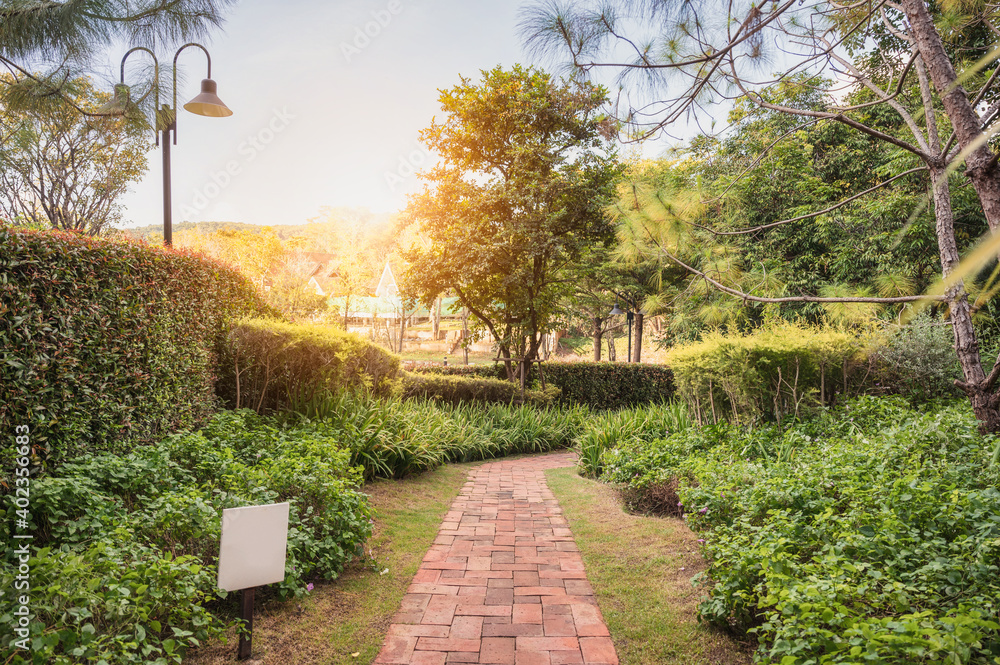 Fototapeta premium Landscaping green garden and brick pathway