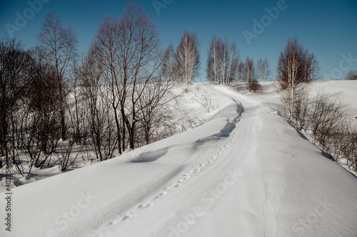 snow-covered road in the winter forest, a lot of snow on the road, tracks in the snow on the road, winter sunny day, nature of russia, Russian winter © Aleksey