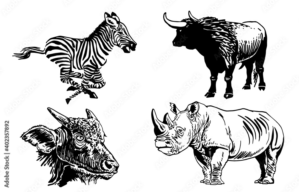 Graphical set of wild animals isolated , vector illustration Stock