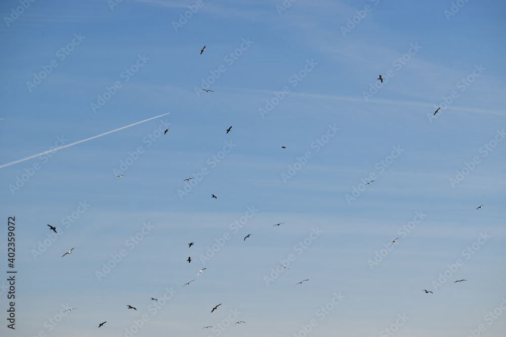 ciel bleu ciel bleu