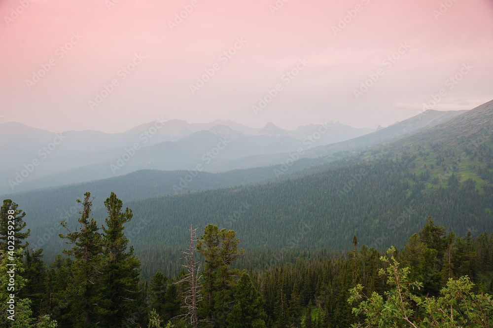 Taiga. Forest against the background of the sunset sky