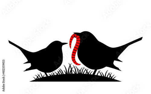 mother bird feeding baby bird isolated on white background