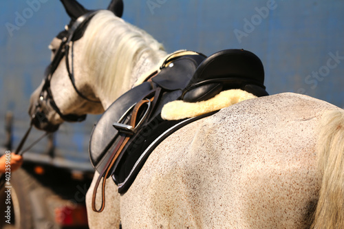 Old leather saddle with stirrups for show jumping race © acceptfoto
