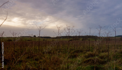 scenic view through autumn meadow grasses across salisbury plain  