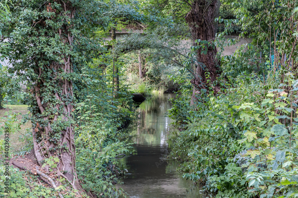 Obraz premium Little bridge across the little creek in the green countryside