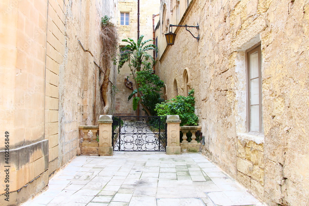 Obraz premium La ville de Mdina, dans le centre de Malte