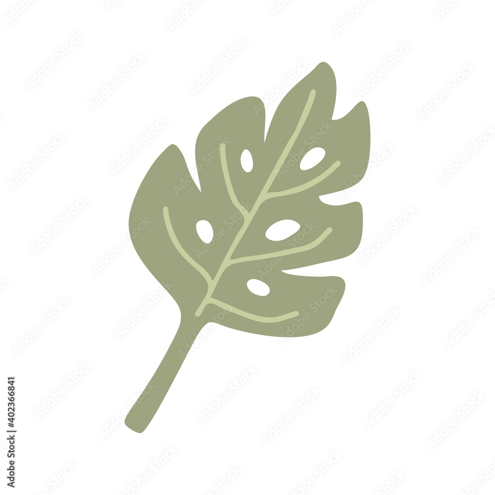 Fototapeta premium Cute vector element monstera leaf on boho nursery clipart. Hand drawn doodle illustration. Cartoon kids clipart for baby shower, kids bedroom decor, birthday party or textile of apparel.