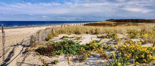 The beautiful beaches of Massachusetts