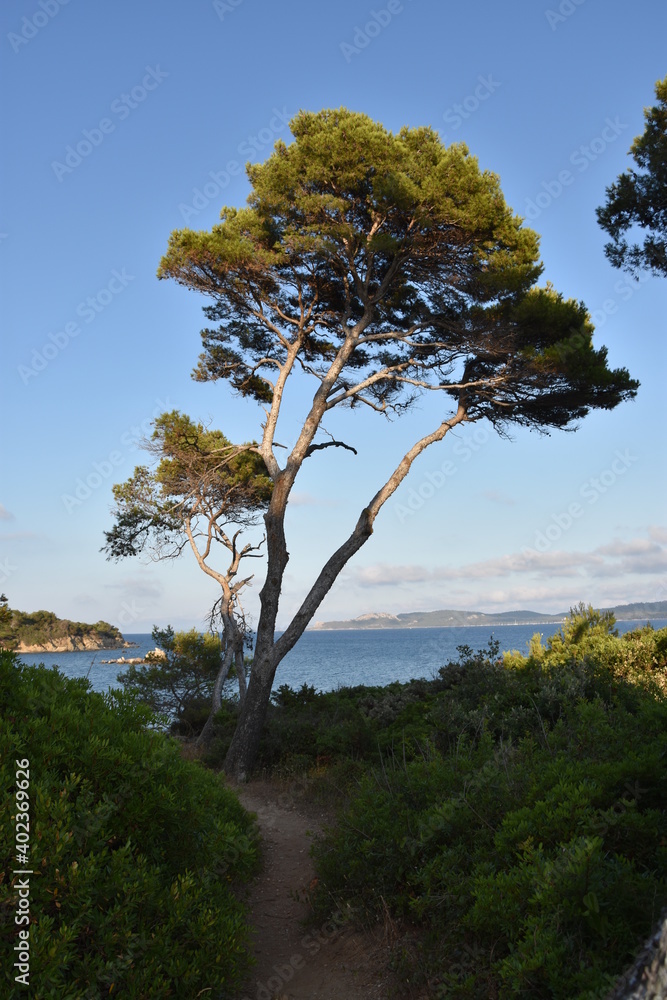 La Presqu'île de Giens, sur la Côte d'Azur