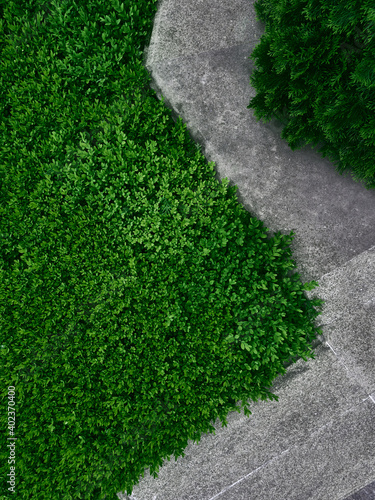 Top down look to paths between grass and bushes.