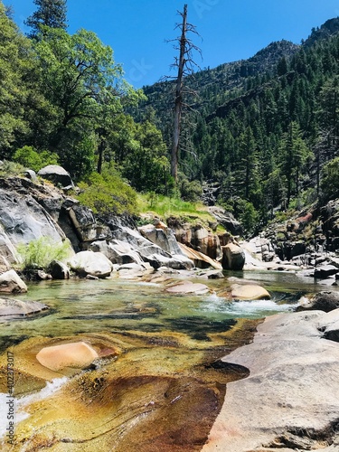 Rocky river flowing through forest