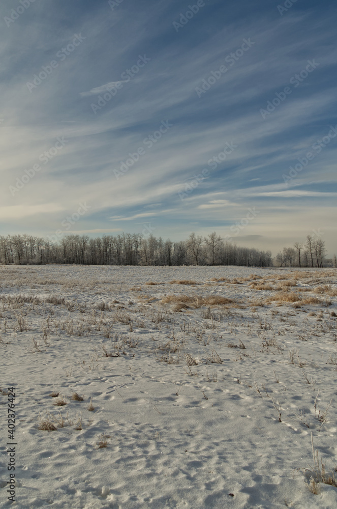 Elk Island during the Winter Season Elk Island during the Winter Season
