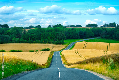 Road in the countryside photo