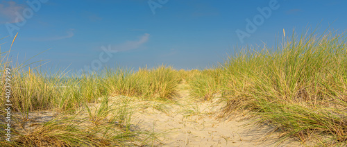 sand dunes and grass banner