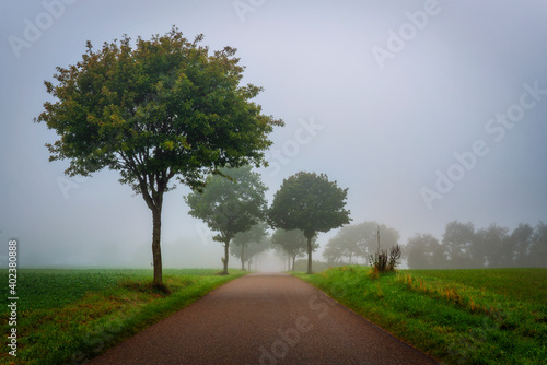 Road in the country in foggy morning
