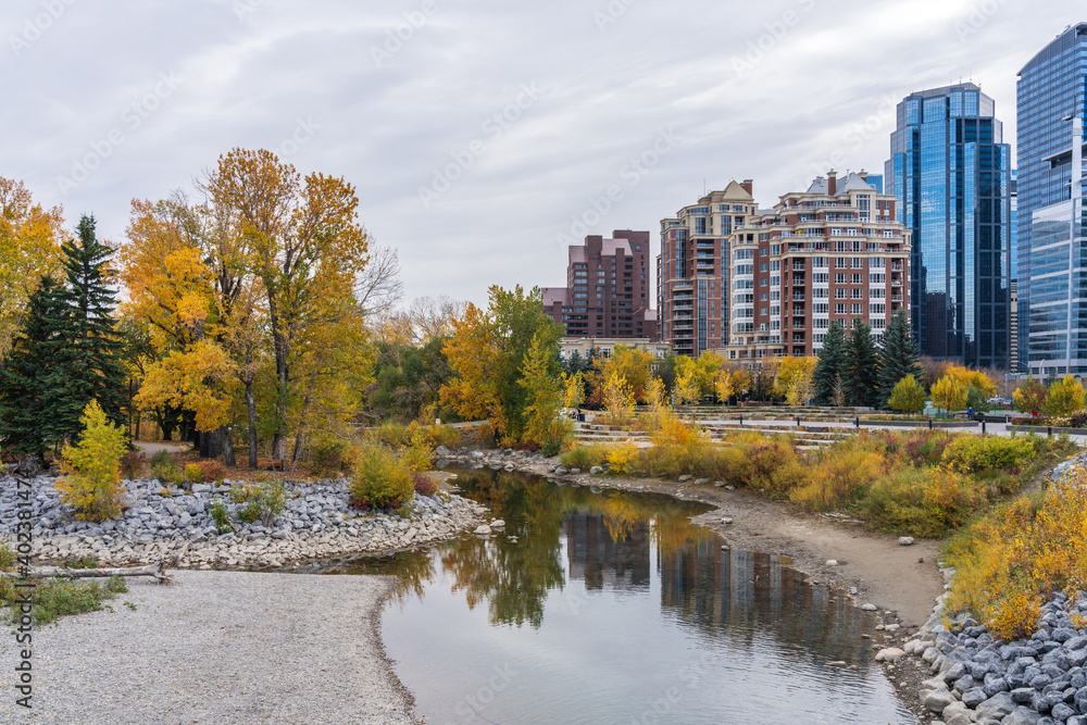 Prince's Island Park autumn foliage scenery. Bow river bank, downtown Calgary, Alberta, Canada.
