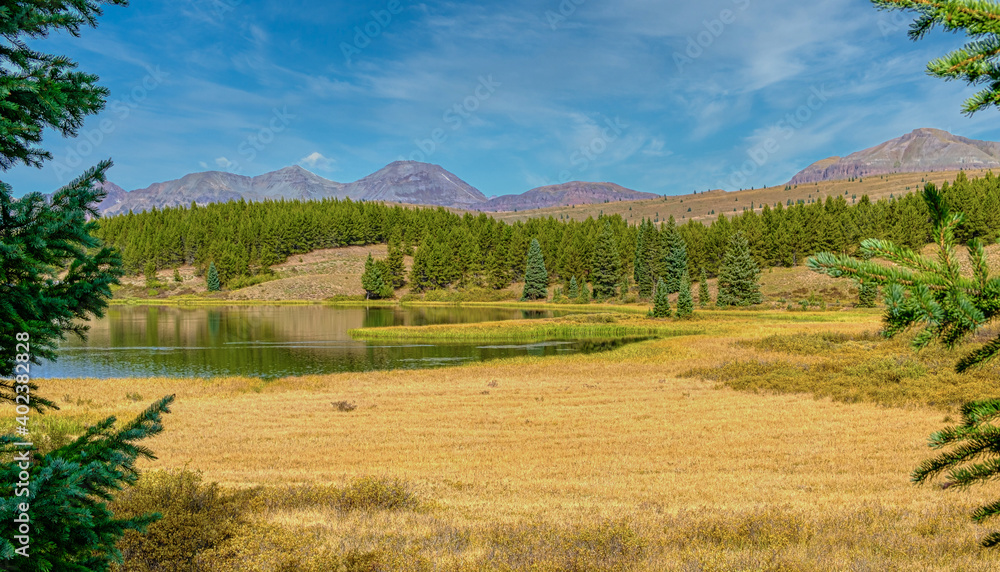 Golden meadow at Andrews Lake Colorado