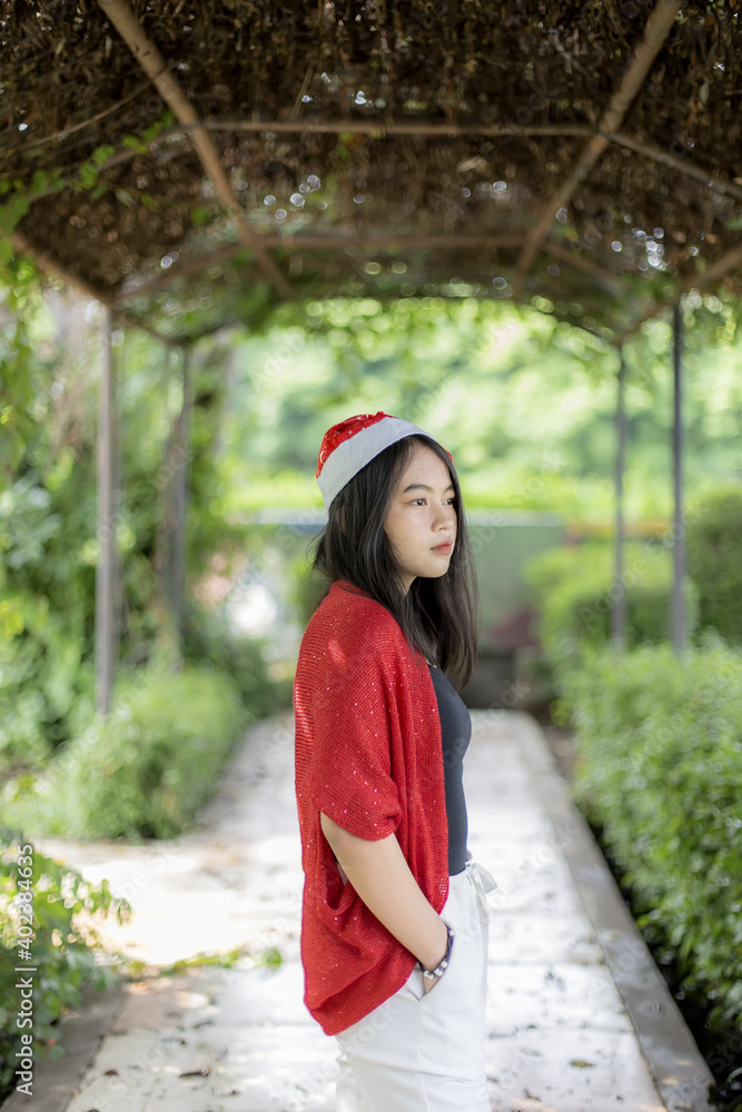 Young beautiful woman wearing Christmas Santa hat and look at to camera.