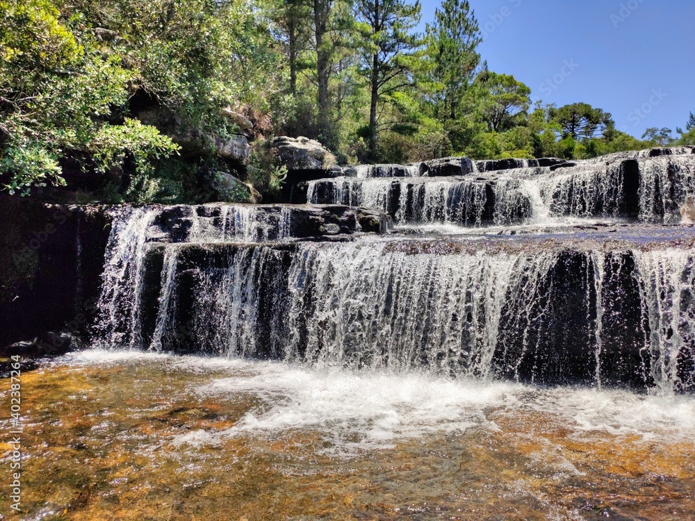 Fototapeta premium waterfall in the park