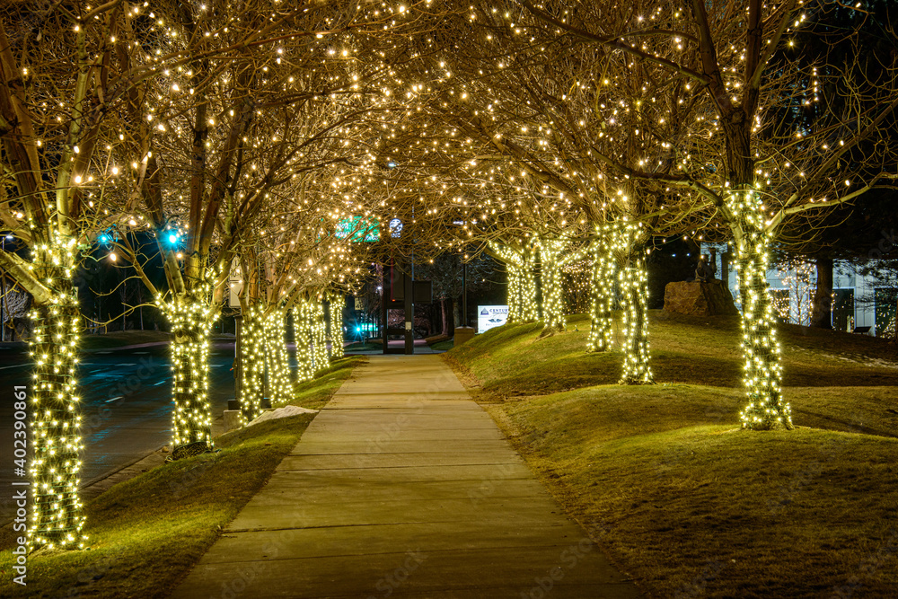 Fototapeta premium alley in the night