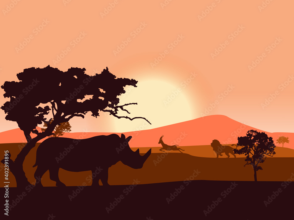 Animals enjoy life in savanna