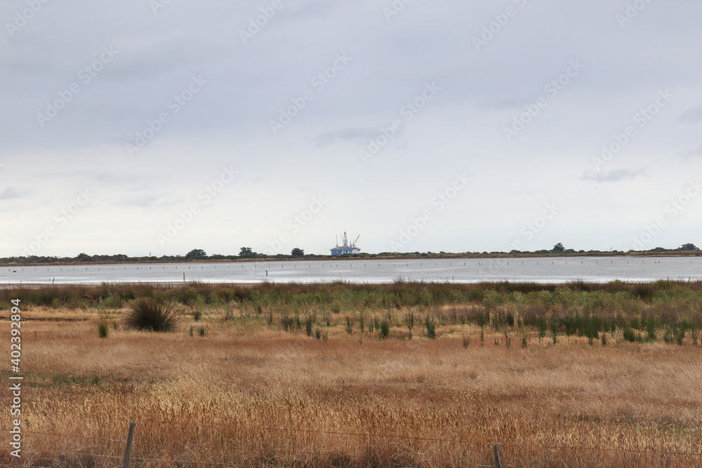 Fototapeta premium cloudy wetland landscape