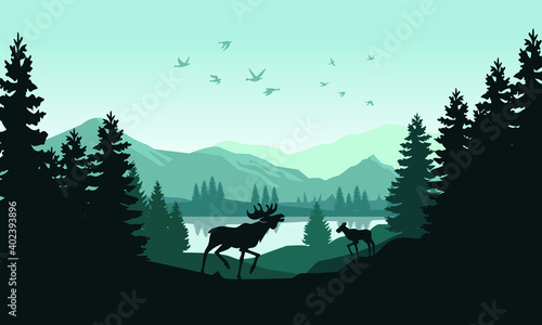 Mooses feasting lake and forest