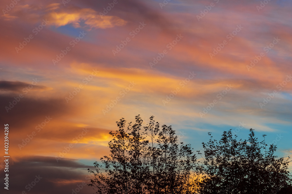 Fototapeta premium Tree silhouettes in against a beautiful western sunset cloud sky in Southern California.