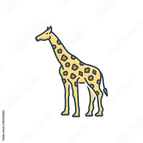 Fototapeta Naklejka Na Ścianę i Meble -  Color illustration icon for giraffe