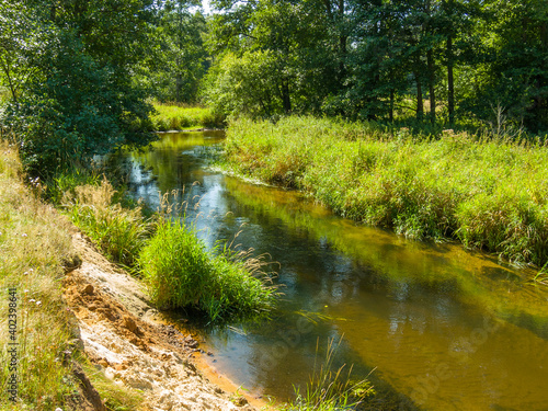 A small wild river Usa in Belarus on a sunny day